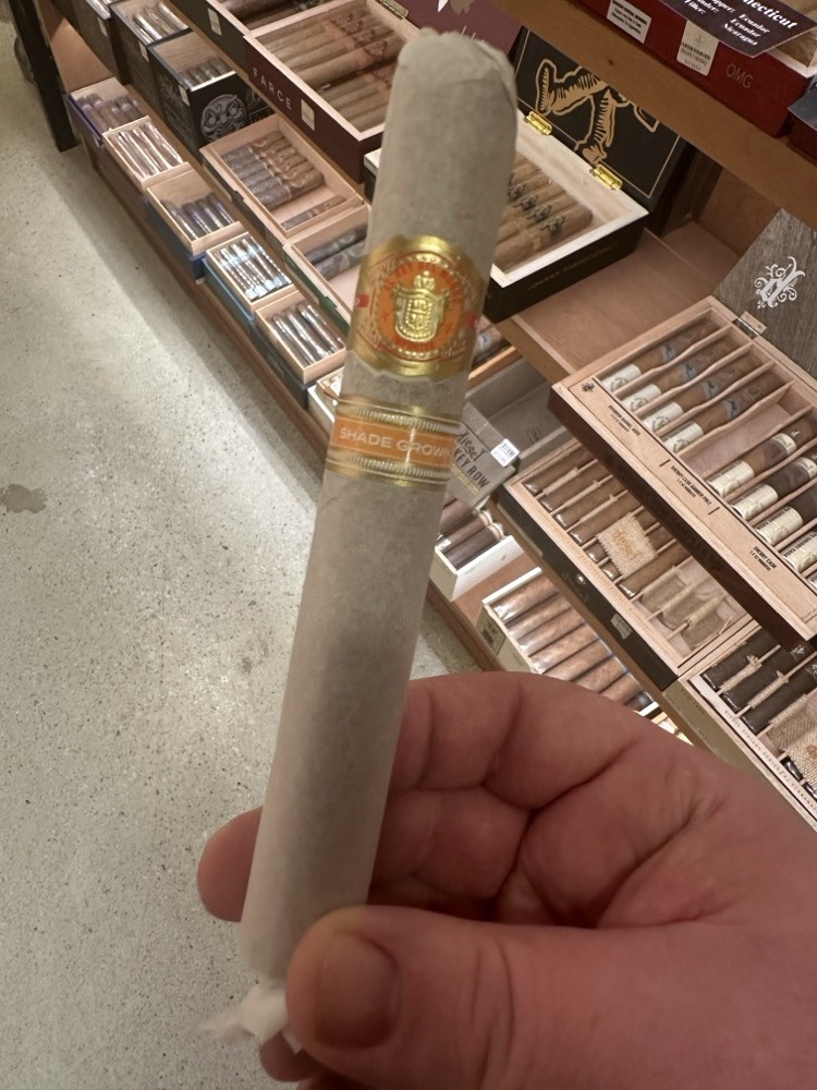 El Rey del Mundo Shade Grown